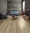 Restore High Density Fiberboard Laminate Luna 6602 Laminate Wood Plank Embossed 2