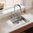 Lustertone Classic Stainless Steel Kitchen Sink 3