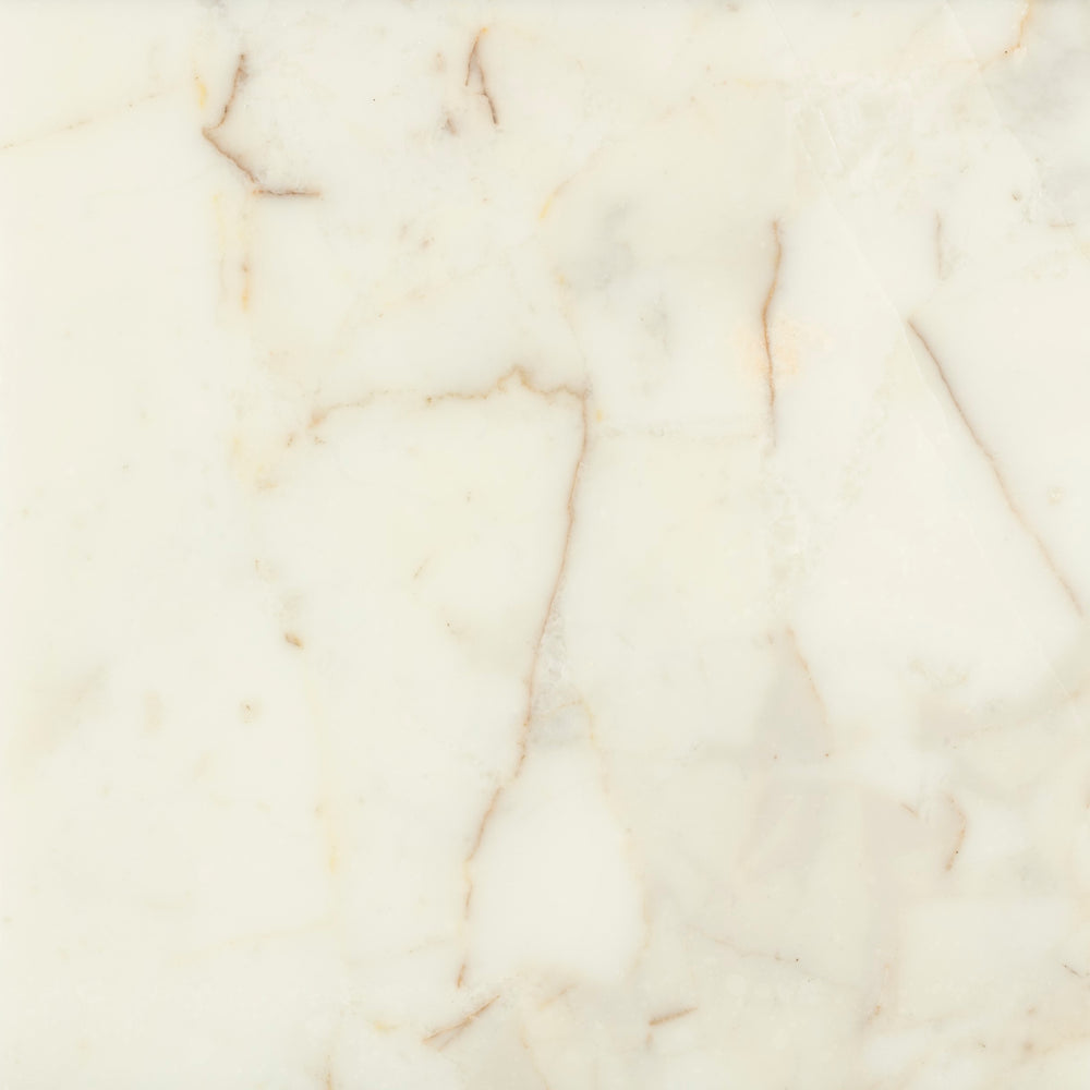 Lady White Marble Tile Polished 1