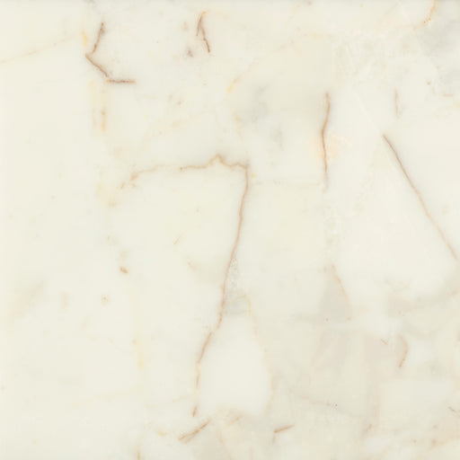 Full Tile Sample - Lady White Marble Tile - 12" x 24" x 3/8" Polished