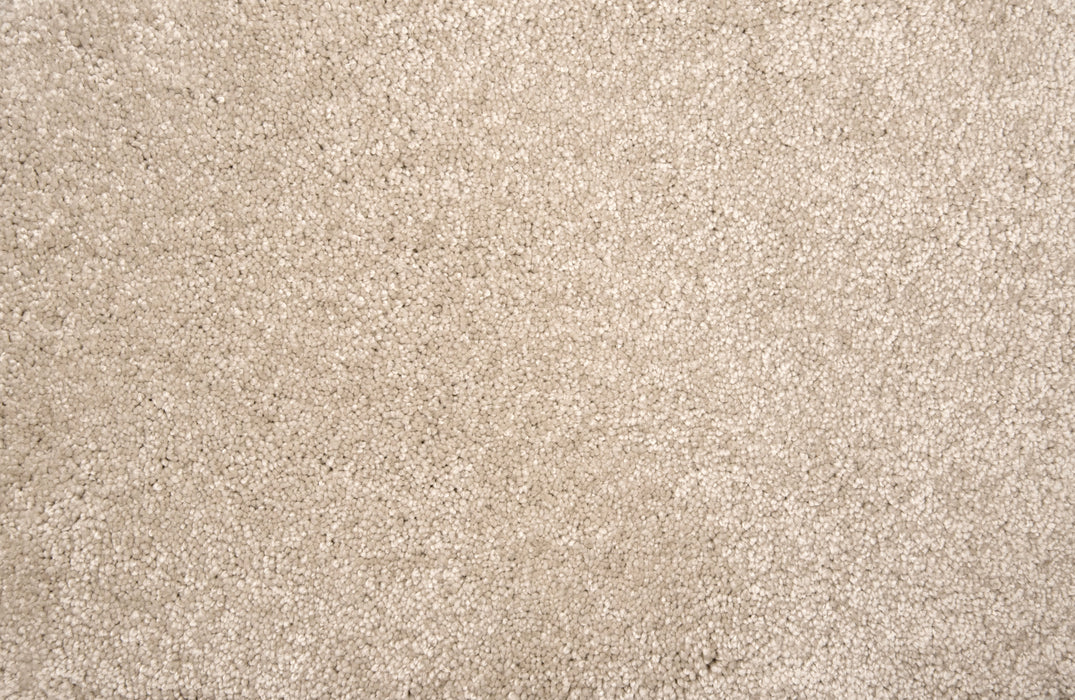 Lancelot Polyester Sand Dollar 23053 Carpet Pattern 1