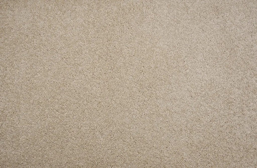 Leland Solution Dyed Polyes Alabaster 25112 Carpet LELAN Plush 1