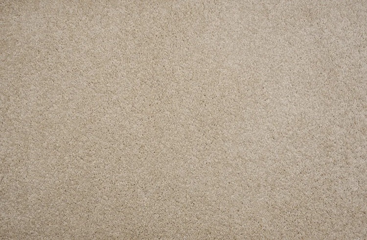 Leland Solution Dyed Polyes Alabaster 25112 Carpet LELAN Plush 1