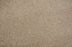 Leland Solution Dyed Polyes Buff 25114 Carpet LELAN Plush 1