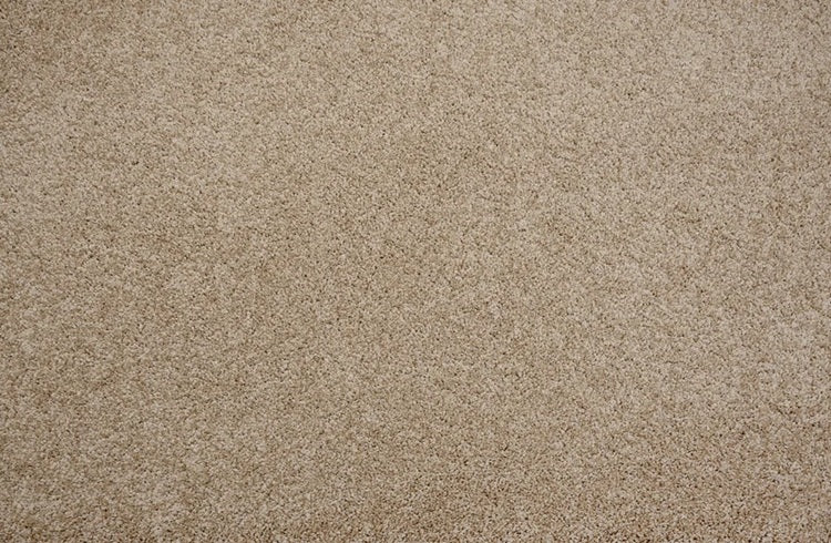 Leland Solution Dyed Polyes Buff 25114 Carpet LELAN Plush 1