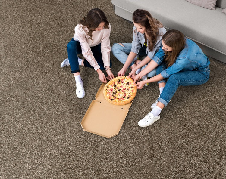 Leland Solution Dyed Polyes Elk 25111 Carpet LELAN Plush 2