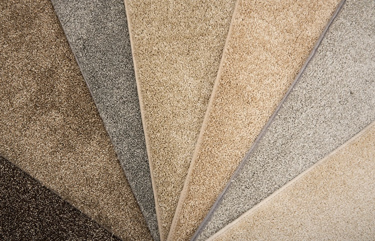 Leland Solution Dyed Polyes Elk 25111 Carpet LELAN Plush 4
