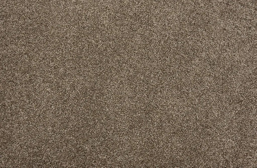 Leland Solution Dyed Polyes Elk 25111 Carpet LELAN Plush 1
