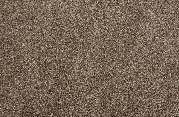 Leland Solution Dyed Polyes Elk 25111 Carpet LELAN Plush 1