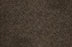 Leland Solution Dyed Polyes Java 25116 Carpet LELAN Plush 1