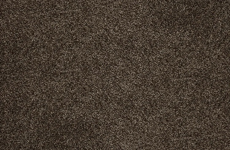Leland Solution Dyed Polyes Java 25116 Carpet LELAN Plush 1