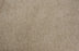 Leland Solution Dyed Polyes Pebble 25113 Carpet LELAN Plush 1