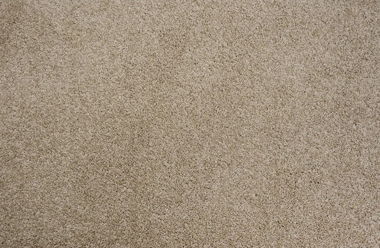 Leland Solution Dyed Polyes Pebble 25113 Carpet LELAN Plush 1