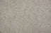 Leland Solution Dyed Polyes Silver 25115 Carpet LELAN Plush 1
