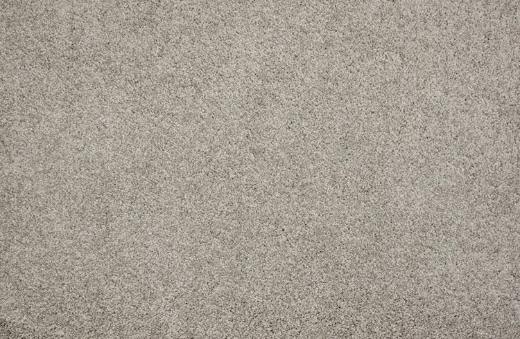 Leland Solution Dyed Polyes Silver 25115 Carpet LELAN Plush 1