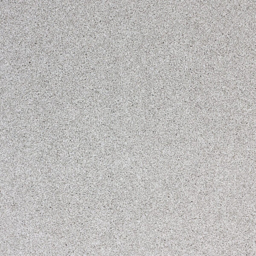 Light Show Polypropylene Mirror Image Carpet Textured 1