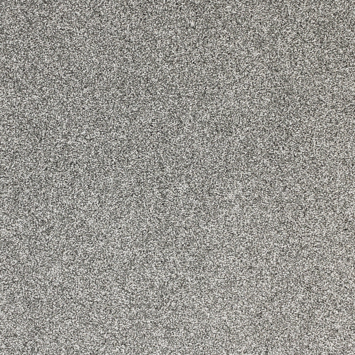 Light Show Polypropylene Vista Carpet Textured 2