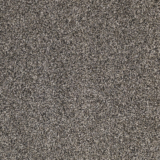 Light Show Polypropylene Stargazer Carpet Textured 1