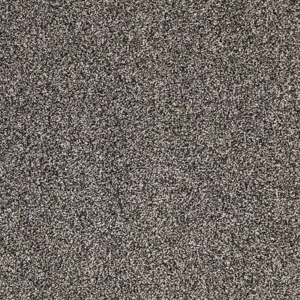 Light Show Polypropylene Stargazer Carpet Textured 1