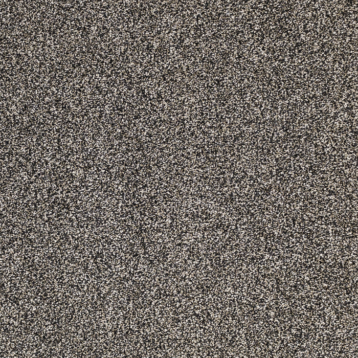 Light Show Polypropylene Stargazer Carpet Textured 2