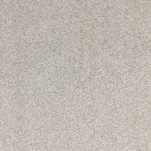 Light Show Polypropylene Lunar Carpet Textured 1