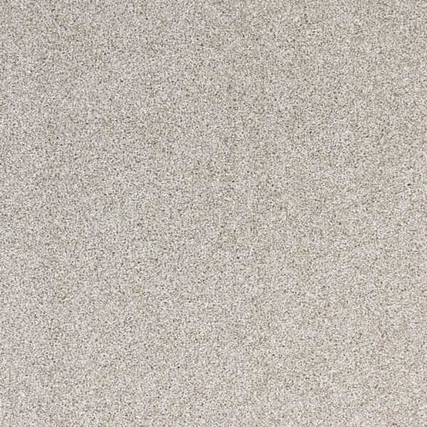 Light Show Polypropylene Lunar Carpet Textured 1