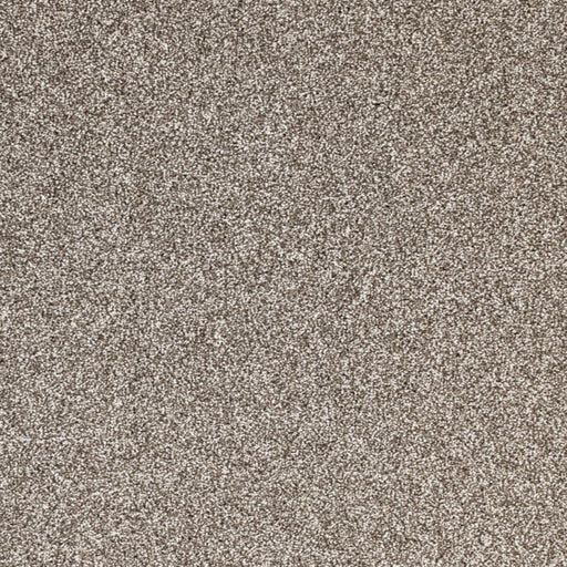 Light Show Polypropylene Planetary Carpet Textured 1