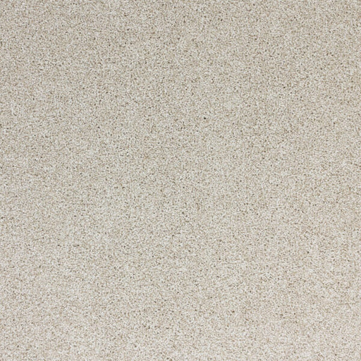 Light Show Polypropylene Sundance Carpet Textured 1