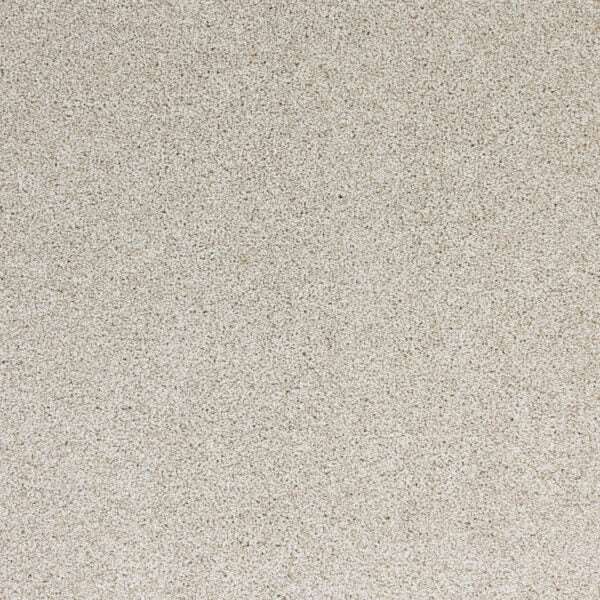 Light Show Polypropylene Sundance Carpet Textured 1