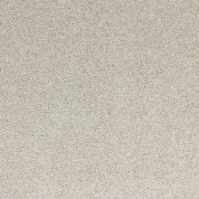 Light Show Polypropylene Sundance Carpet Textured 2