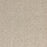 Light Show Polypropylene Visions Carpet Textured 1