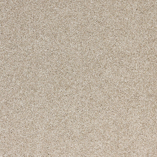 Light Show Polypropylene Visions Carpet Textured 1