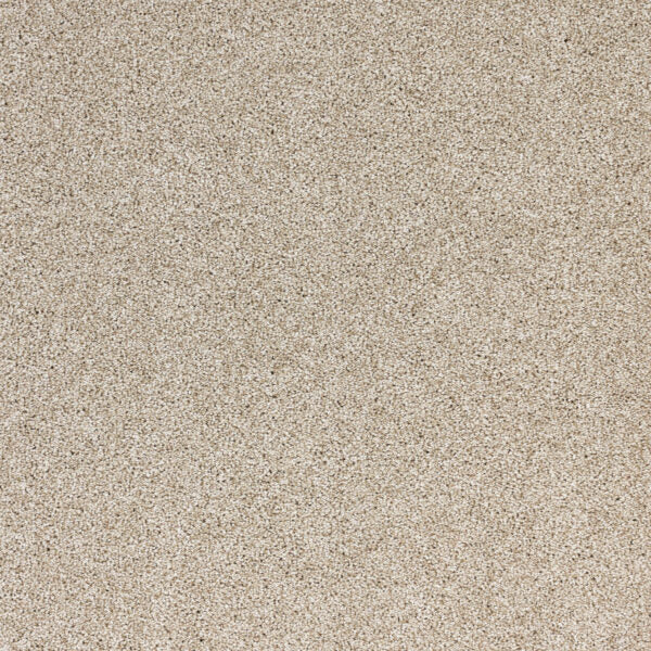 Light Show Polypropylene Visions Carpet Textured 1