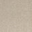 Light Show Polypropylene Visions Carpet Textured 2