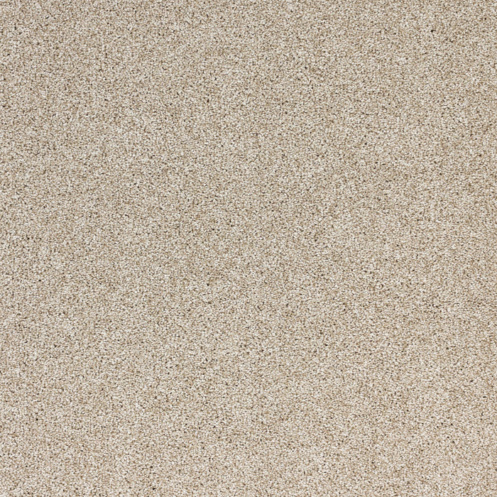 Light Show Polypropylene Visions Carpet Textured 2
