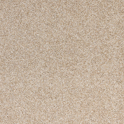 Light Show Polypropylene Aura Carpet Textured 1
