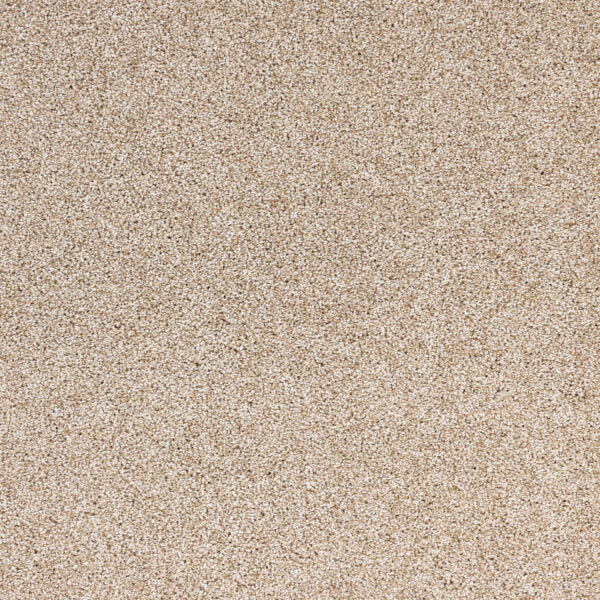 Light Show Polypropylene Aura Carpet Textured 1