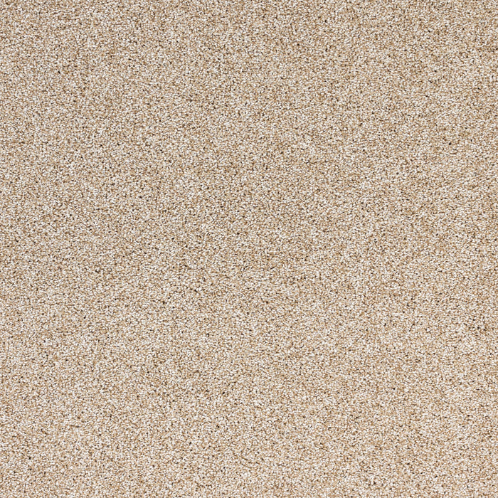 Light Show Polypropylene Aura Carpet Textured 2