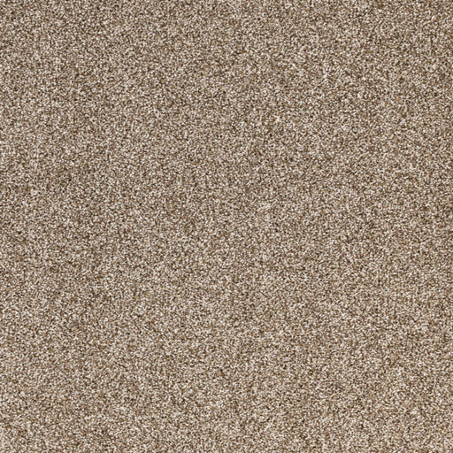 Light Show Polypropylene Synthesis Carpet Textured 1