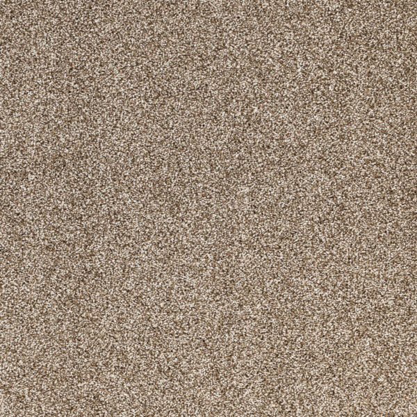 Light Show Polypropylene Synthesis Carpet Textured 1