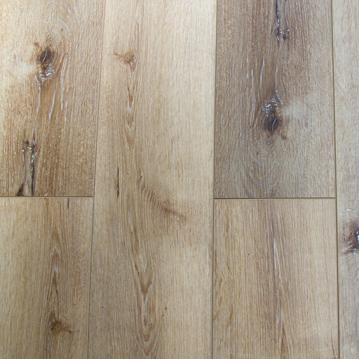 ProTek Plus Longmont PP3002V