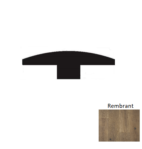 Louvre Wood Rembrandt T Molding Wire Brushed 1