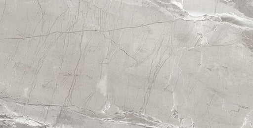 Absolute Light Grey Porcelain Tile - Matte