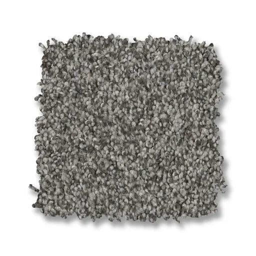 Bossa Nova Lunar Nylon Carpet - Textured
