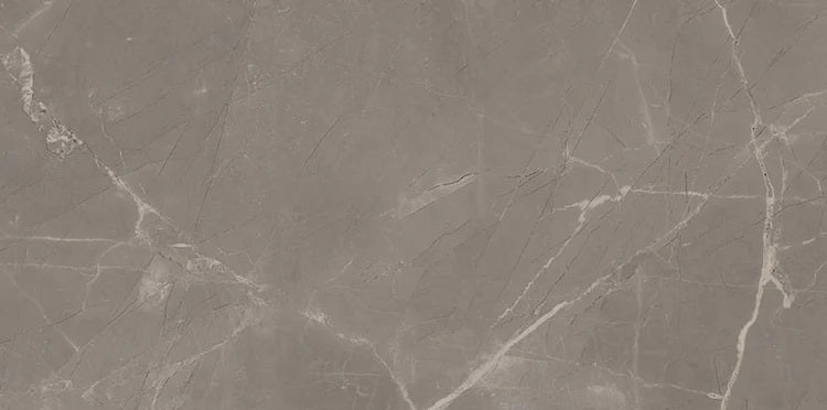 Full Tile Sample - Luxury Amani Grey Porcelain Tile - 12" x 24" x 8 MM Polished