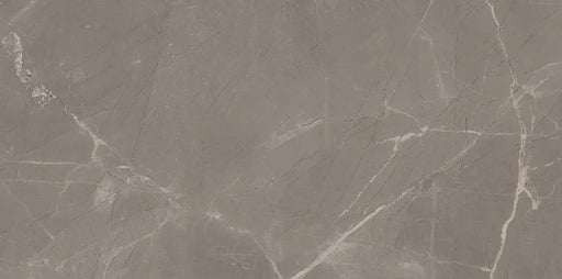 Luxury Amani Grey 1100470