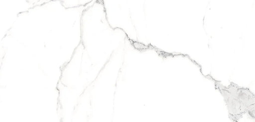 Luxury Calacatta 1100473