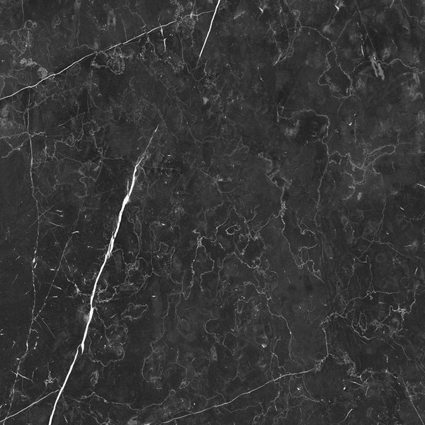 Full Tile Sample - Luxury Nero Marquina Porcelain Tile - 24" x 24" x 8 MM Matte