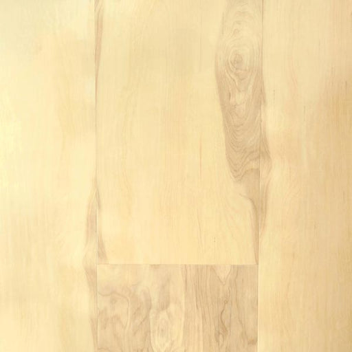 1900 Series Vinyl Nature's Way Vinyl Plank Embossed 1