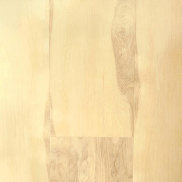 1900 Series Vinyl Nature's Way Vinyl Plank Embossed 1